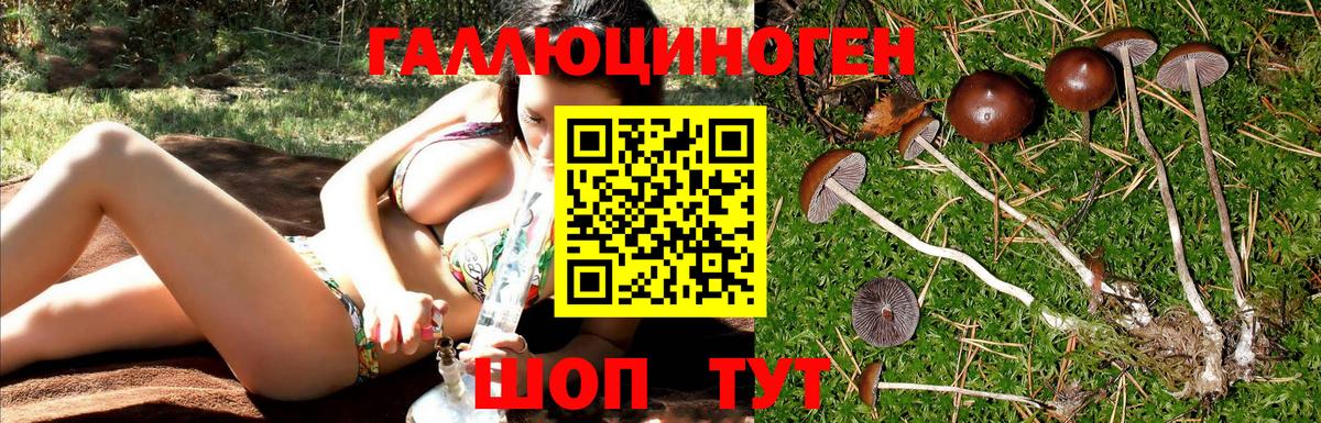 Галлюциногенные грибы ЛСД  Вход с VPN  Беслан  Псилоцибиновые грибы мицелий 
